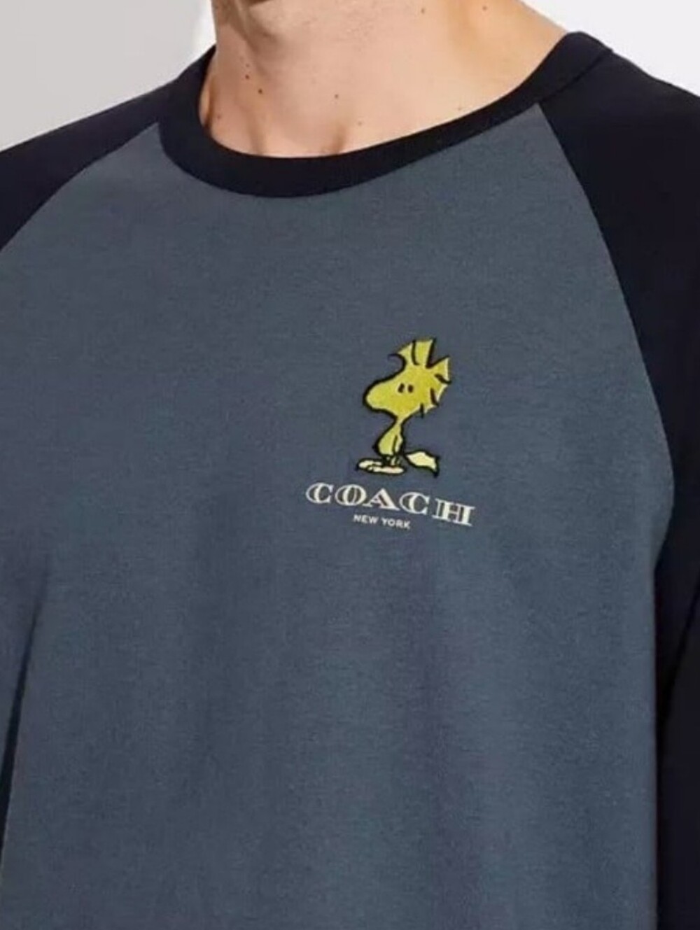 Coach Shirt - Picture 3 of 4